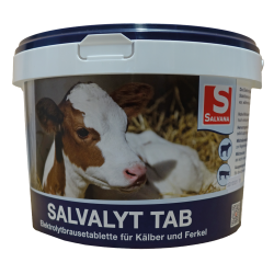 Salvalyt Tab 48 Tabletten...