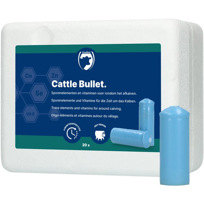 Excellent Cattle Bullet 20 St.