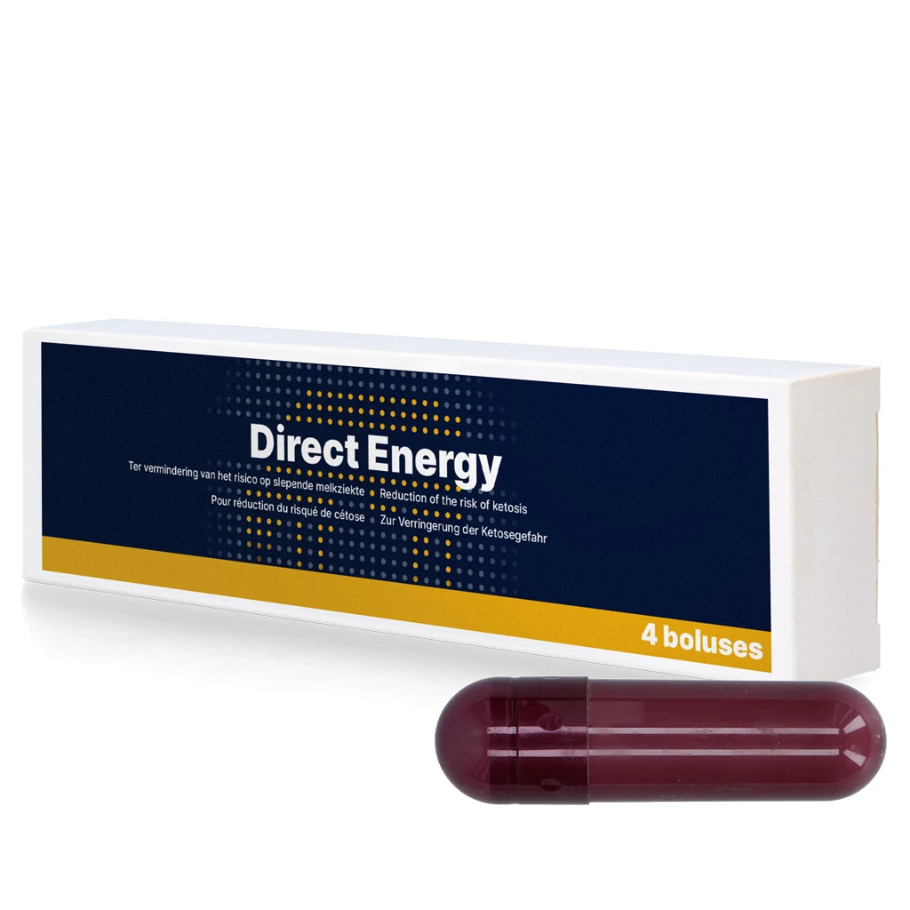 Bolus Direct Energy 4x67g