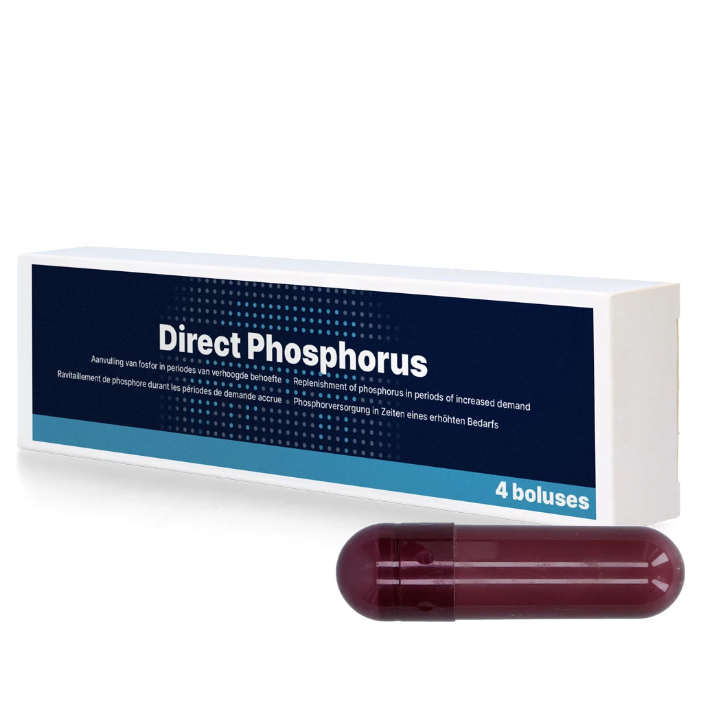 Direct Phosphorus 4 x 123 g Bolus