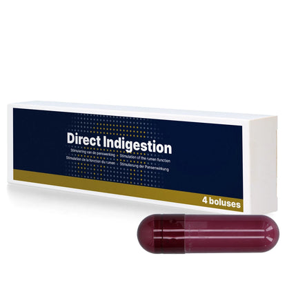 Direct Indigestion 4 x 76 g Wiederkäubolus